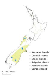 Cardamine sinuatifolia distribution map based on databased records at AK, CHR, OTA & WELT.
 Image: K.Boardman © Landcare Research 2018 CC BY 4.0